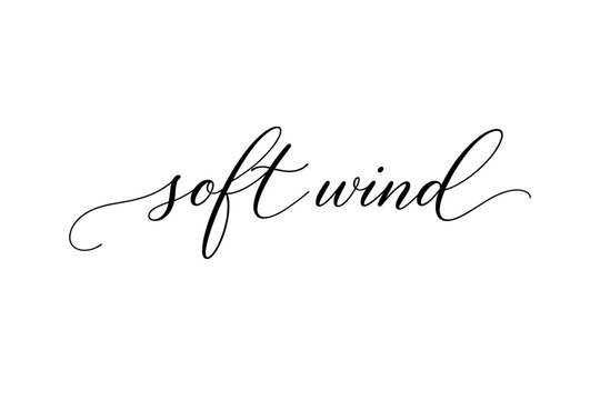 Elegant Handwritten Script Calligraphy Design of the Words Soft Wind in Black Ink on White Background Minimalist Typography Vector Illustration for Branding Wedding Invitations and Decor