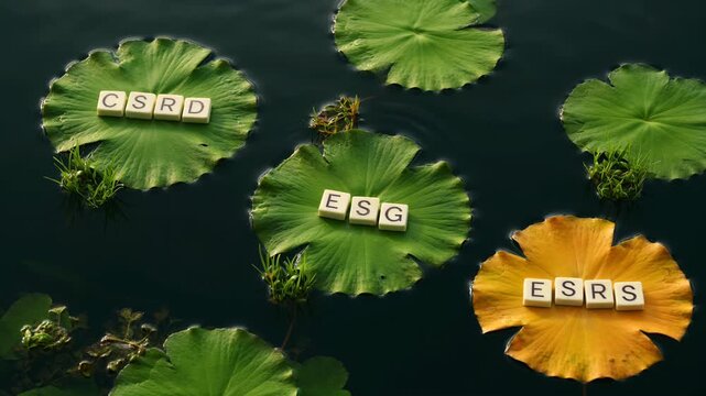 Wooden blocks with ESG, CSRD, and ESRS letters on lily pads in a pond representing environmental sustainability standards