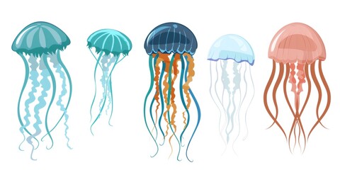 Fototapeta premium Variety of colorful jellyfish swimming under the ocean illustration set