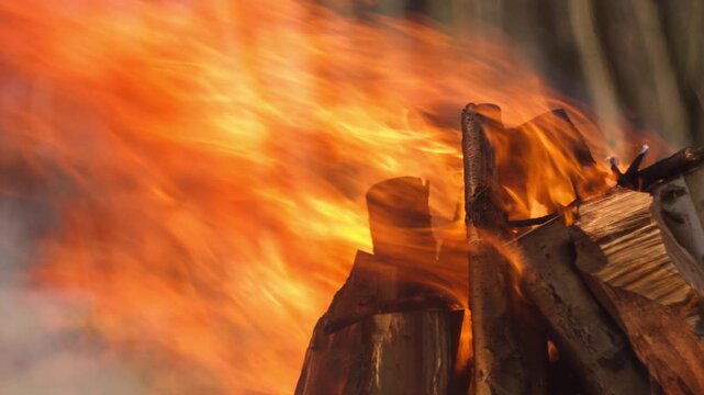 Close-up of a campfire in a grill in the forest. Flames engulf logs, smoke rises, blurred woodland background, natural spring light. Perfect for outdoor, camping, fire content.