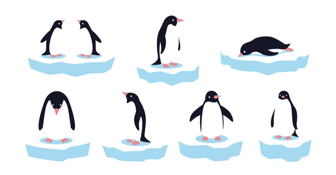 Set of Penguin on Iceberg Illustration, Cute Cartoon Arctic Animal Vector