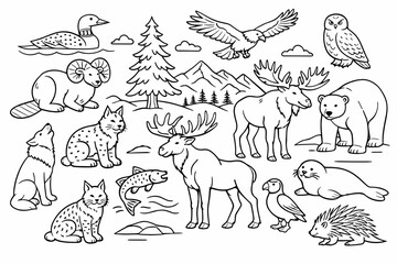 Fototapeta premium Canadian Wildlife Animals Line Art Illustration Set Featuring Moose, Polar Bear, Wolf, Bald Eagle, Owl, Loon, Lynx, Salmon, Seal, and Porcupine. Simple Flat Vector Icons for Coloring Book Pages.