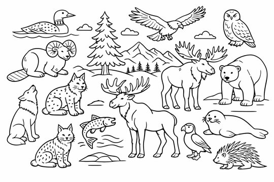 Canadian Wildlife Animals Line Art Illustration Set Featuring Moose, Polar Bear, Wolf, Bald Eagle, Owl, Loon, Lynx, Salmon, Seal, and Porcupine. Simple Flat Vector Icons for Coloring Book Pages.
