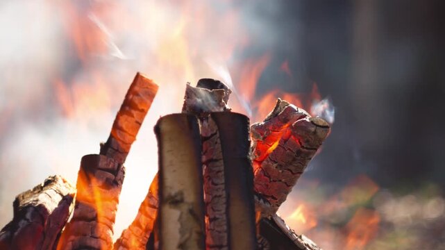 Close-up of a campfire in a grill in the forest. Flames engulf logs, smoke rises, blurred woodland background, natural spring light. Perfect for outdoor, camping, fire content.