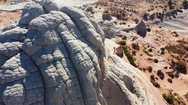 Detailed texture of white brain rock formations, geological patterns at White Pocket
