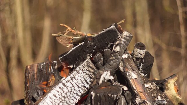 Close-up of a campfire in a grill in the forest. Flames engulf logs, smoke rises, blurred woodland background, natural spring light. Perfect for outdoor, camping, fire content.