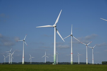 Fototapeta premium Windpark in Ostfriesland