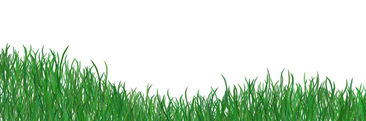 Fototapeta premium Fresh green grass isolated against a transparent background