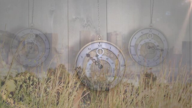 On play, pocket-watch clock rotating second hand ticking with swaying dry grasses showing interplay