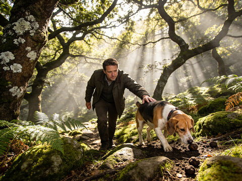 A man and his beagle