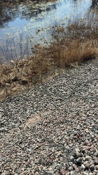 Crushed stone riverbank with dry grass, stainless wire mesh over pebble embankment beside calm river, textured closeup of rocks.