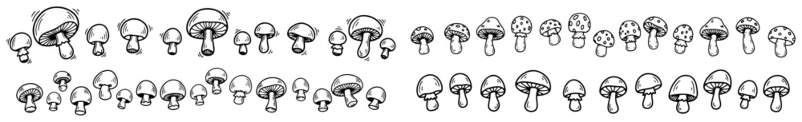 Mushroom border collection with various fungi species in hand drawn sketch style © Aisha Kudorova
