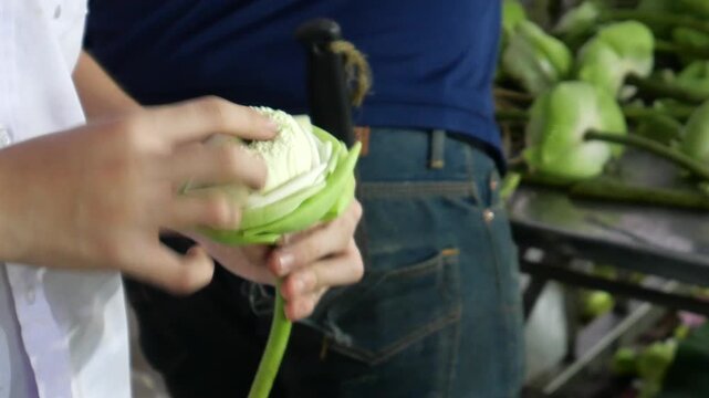 Folding lotus petals to arrange into lotus bouquets. Taking photos with a lotus bouquet is currently trendy among Thai Gen Z.