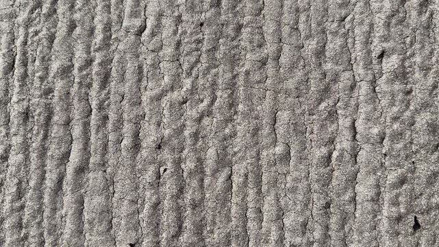 Close-up rolled roofing texture vertical granules, asphalt membrane with coarse grit and parallel ridges, neutral gray tones, macro.