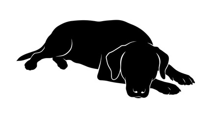 Black Labrador dog silhouette resting peacefully, isolated on transparent background © Hughes