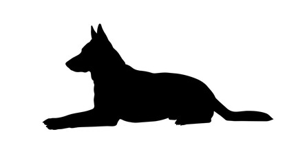 Black silhouette of a German Shepherd dog lying down, isolated on transparent background © Hughes