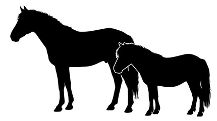 Obraz premium Two black horse silhouettes one large and one small, isolated on transparent background