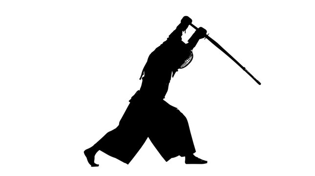 Black silhouette of kendo practitioner with sword raised, isolated on transparent background