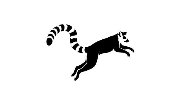 Black ring-tailed lemur leaping mid-air, isolated on transparent background