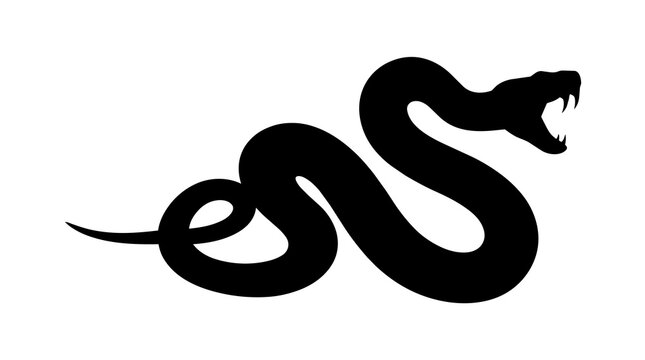 Black viper snake silhouette with fangs bared, isolated on transparent background