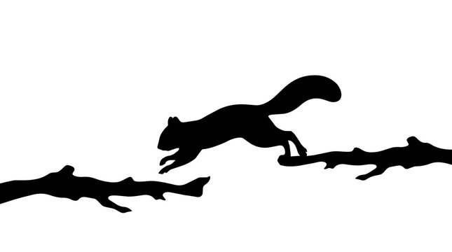 Black squirrel silhouette jumping between branches, isolated on transparent background