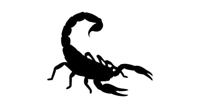 Black scorpion silhouette with curved tail and claws, isolated on transparent background