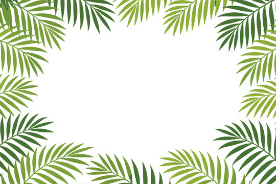 Tropical Palm Branches Frame on White Background, Simple Flat Vector Illustration of Green Exotic Leaves Border with Copy Space for Summer Design, Botanical Foliage Background for Greeting Card