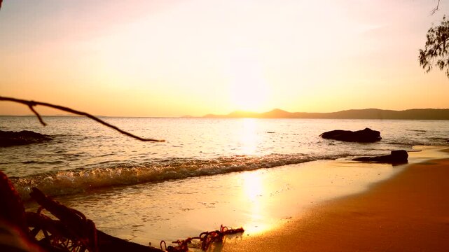 Waves at stone beach on sunset sky. Ocean shoreline. Trees on sea shore, splashing waves. Wild Shore landscape. Ocean sunset shoreline scenic. Wild beach in jungle of Vietnam, Phu Quoc. Deserted beach