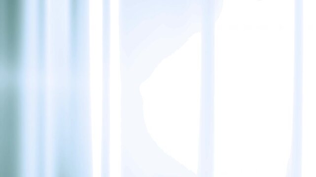 abstract line flash transitions 4k