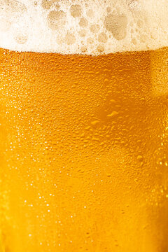 Closeup of a glass of beer with foam and water droplets 