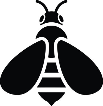 A black and white image of a bee