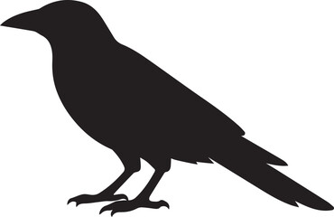 Fototapeta premium Black silhouette of a crow or raven perched on a white background with silhouette wildlife illustration isolated minimalist intelligent