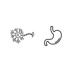 Fototapeta premium Neuron and Stomach Icons A Visual Representation of Nervous System and Digestive System