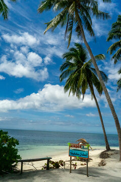 Norma Beach in a Tropical Island in Balabac, Philippines Surrounded by Turquoise Waters, palms and beautiful sand. High quality photo