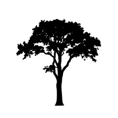 Fototapeta premium Solid black oak tree silhouette, vector illustration logo design. Isolated nature symbol icon character sign on white background.