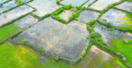 Angled aerial drone photography looking over geometric agricultural fields that have been completely flooded by water creating highly reflective mirror surfaces on the farm © Buğra Kaan Ersoy