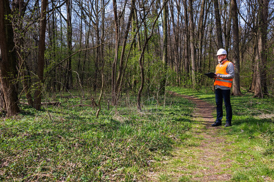 Environmentalist in safety gear inspecting forest health and tree. Forestry specialist engineer with clipboard assessing woodland area for sustainable resource management. Ecologist working.