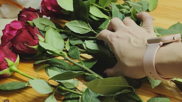 Close-up of hands sorting and arranging cut roses with stems and leaves. Floristry process, bouquet preparation and flower shop work. Fresh flowers, floral design and professional arrangement concept.