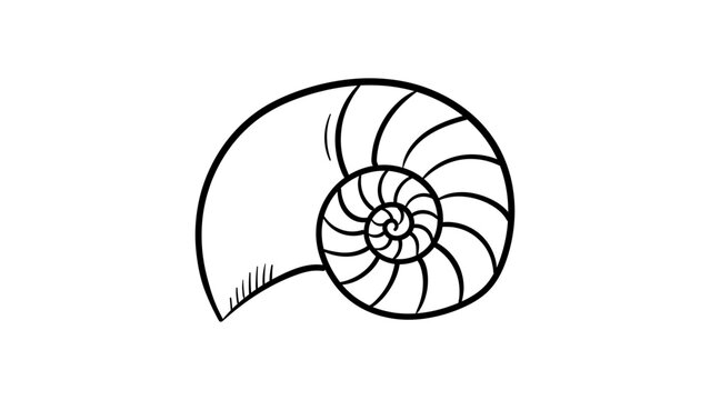 Nautilus Shell Vector Icon, Minimalist Black Line Illustration on White Background, Hand-Drawn Style Cross-Section of a Spiral Sea Shell, Scalable Outline Graphic for Marine and Nature Design.