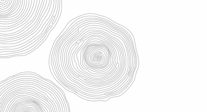 Minimalist abstract vector illustration of tree rings or wood grain with concentric circle patterns on a white background.
