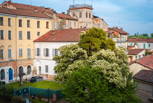 Panorama of the houses and its red tile rooftops of the village of Vignale Monferrato, in the winery region of Monferrato (Piedmont, Northern Italy), UNESCO site.