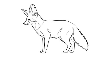 Fototapeta premium Line art illustration of a fennec fox in profile isolated on white background