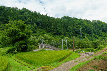 250814長野県栄村学問の橋 © m
