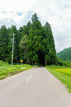 250814長野県栄村北野天満宮参道