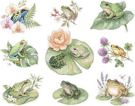 Detailed clipart of frogs, different types of frogs: blue poison dart frog, red-eyed tree frog, common tree frog and spotted grass frog, tropical frogs, amphibians, vector in watercolor
