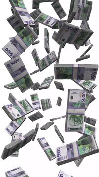 Vertical Serbia Money, Falling Serbian Dinar Bills, Nikola Tesla Cash Stacks, 4K