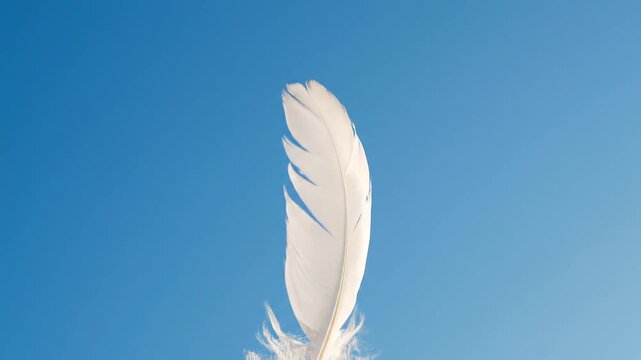 A delicate white feather stands gracefully against a vibrant azure sky, symbolizing lightness, freedom, and a gentle connection to nature's serene beauty