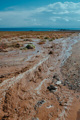 Obraz premium Mountain stream of water after heavy rain in Kyrgyzstan