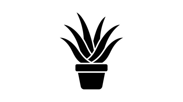 aloe vera spray pur Aloe Vera Spray - Soothing & Hydrating Spray for Skin | 8 fl oz Bulk main image 0