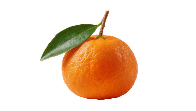 Isolated vibrant whole mandarin fruit with a healthy green leaf and small natural stem